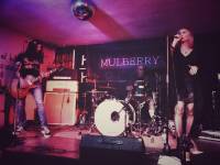 Mulberry-Sky-05